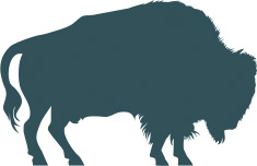 Bison icon