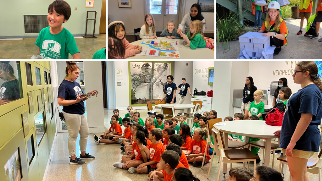 photo collage of campers cooking, studying maps, building houses and meeting a snake