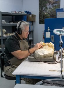 Dr. Adams catalogs and conserves fossil collections